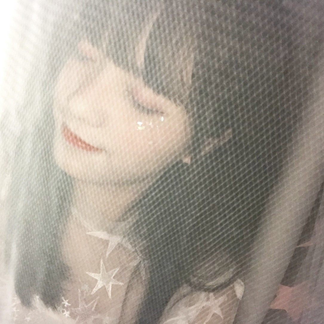 韩系 女生 欧美 半身 唯美 遮脸 镜子照 中式风 安静 可爱 卖萌 个性
