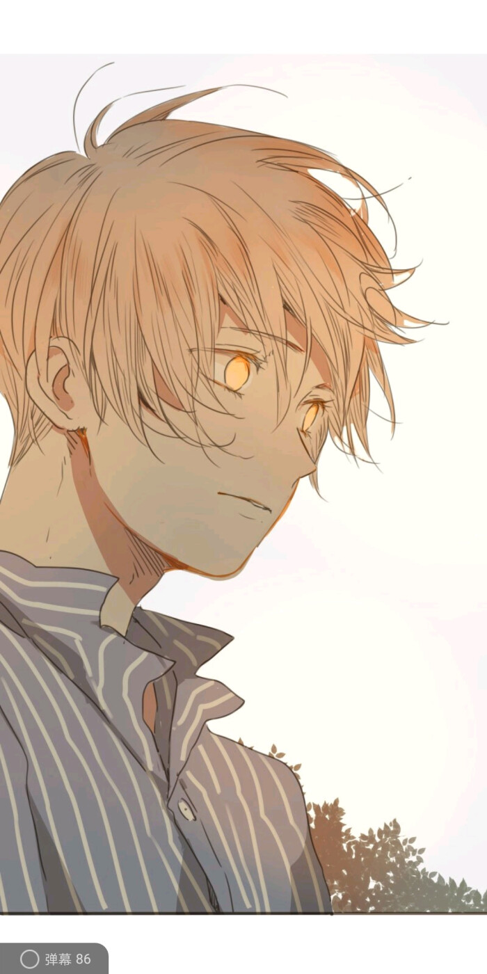 沉默的色彩(漫画)