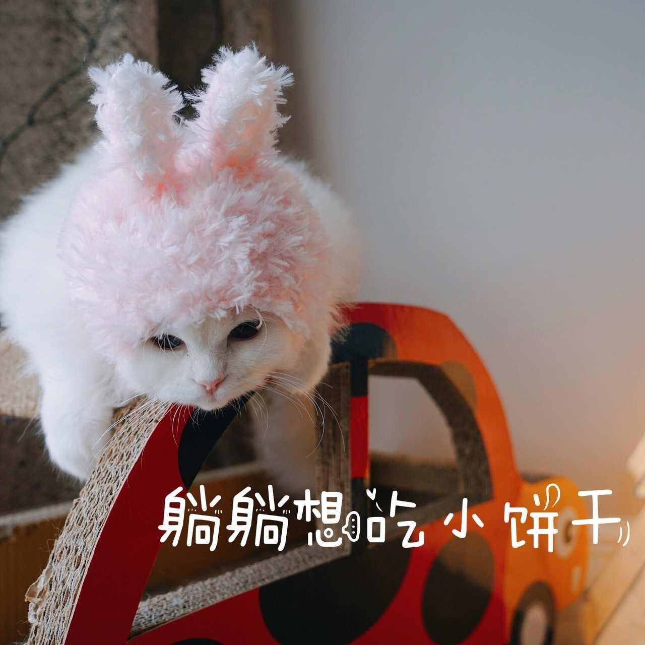 8月25日 16:20   关注  表情包 评论 收藏