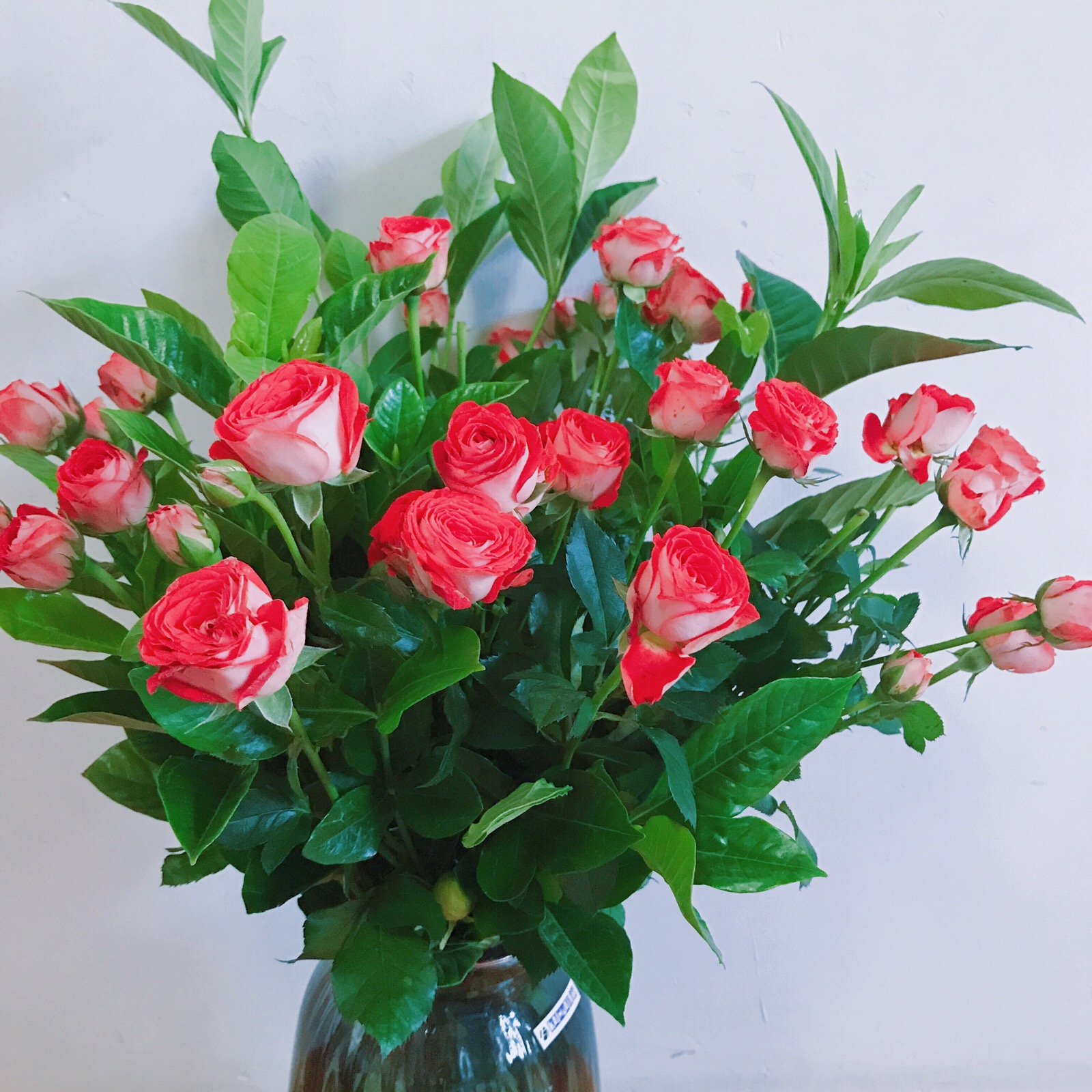 日常居家插花 小清新