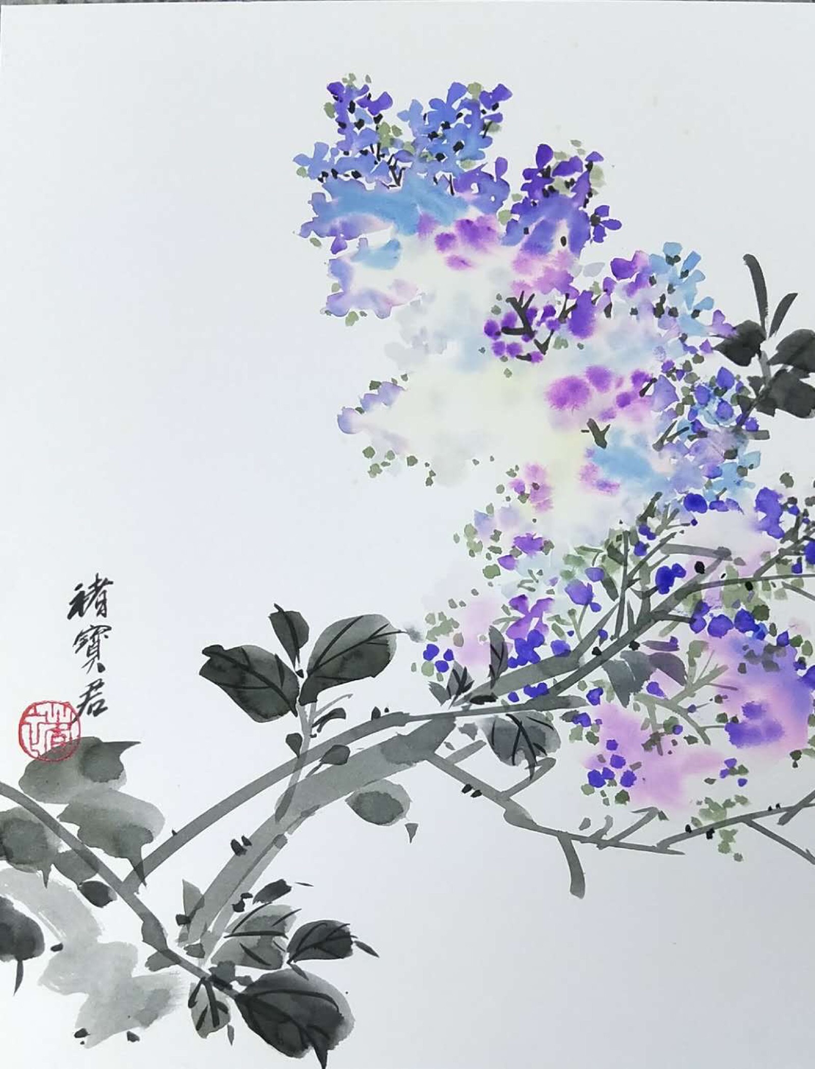 国画丁香花的画法图片