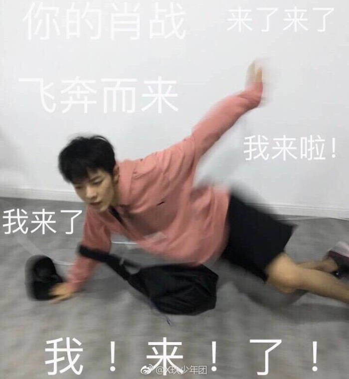 肖战表情包