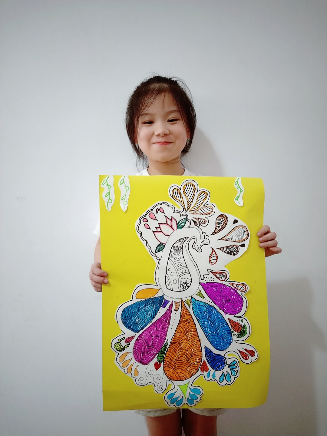 孔雀开屏,线描