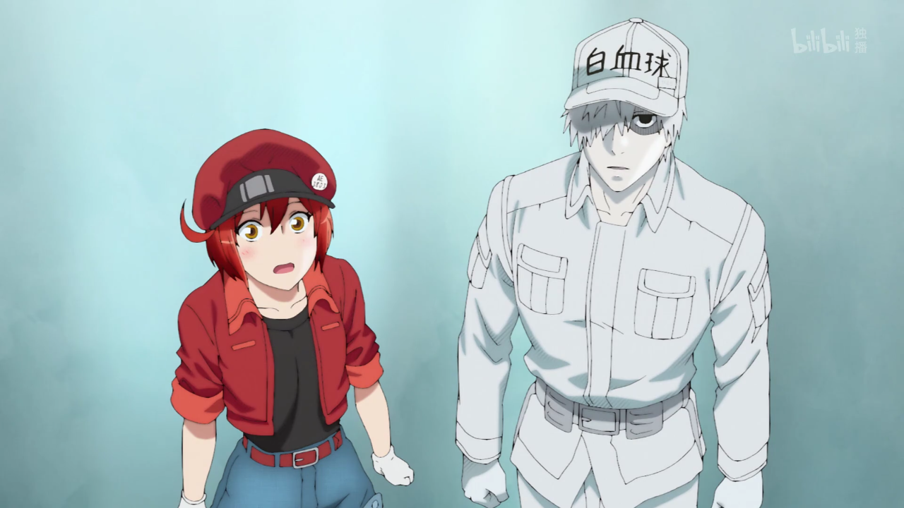 工作细胞:白细胞