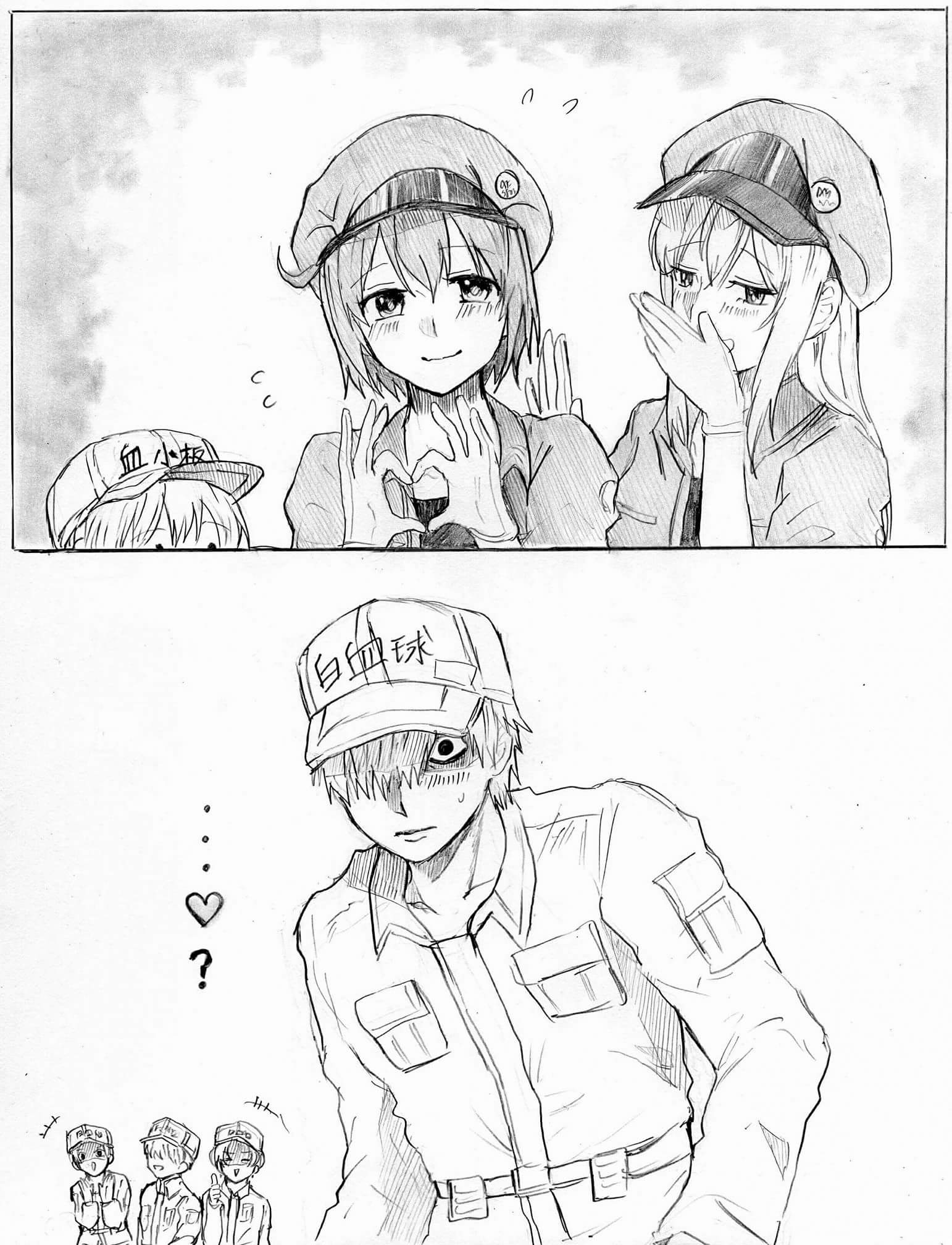 工作细胞