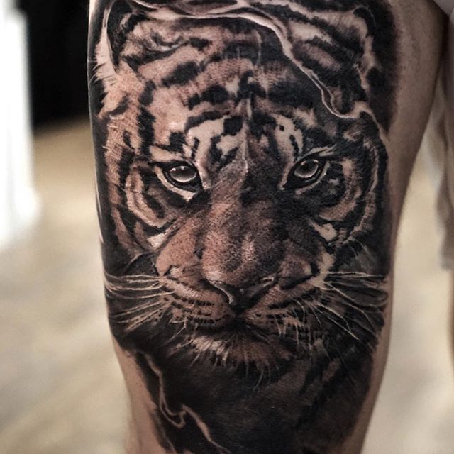 精*纹身图案大全-老虎tiger