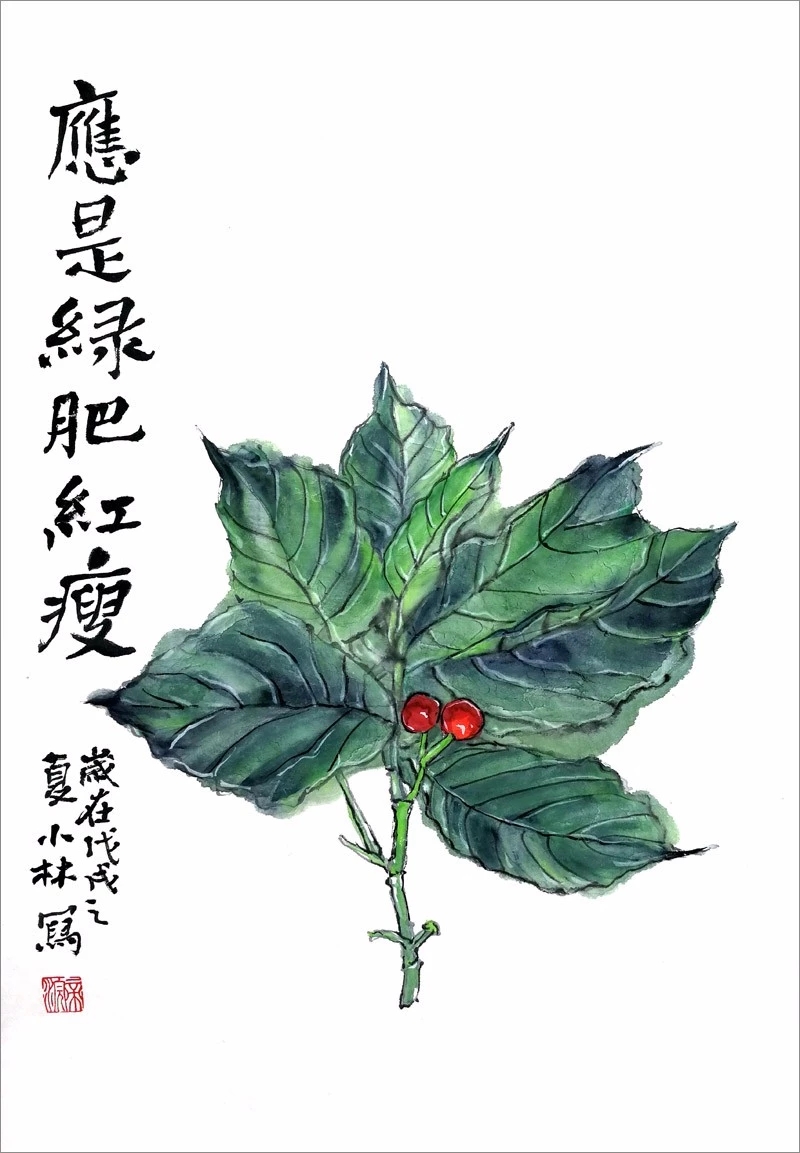 绿肥红瘦