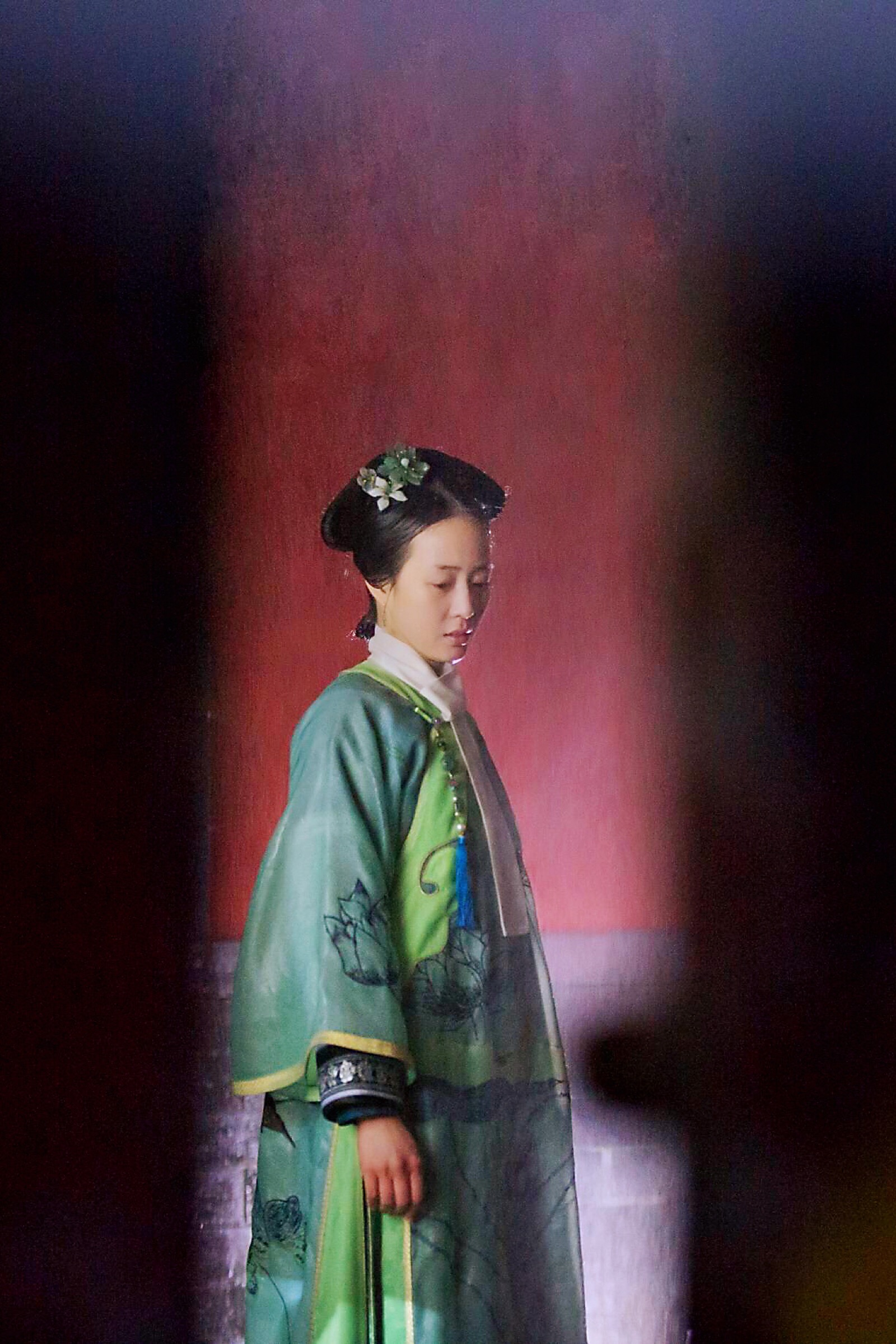 如懿传 