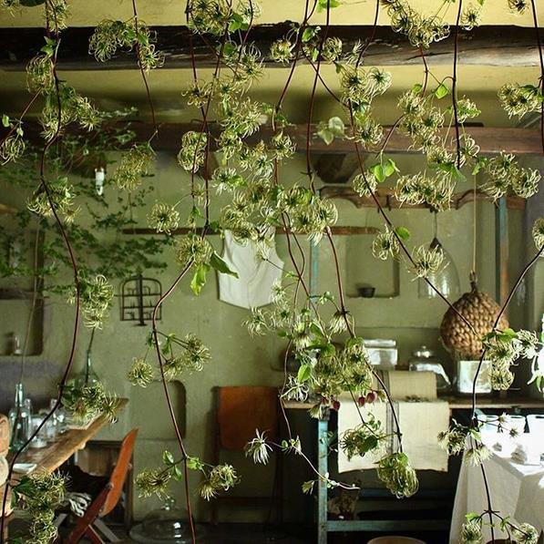 花艺工作室-flowernoritake,有别于一般造型精致的日本花艺风格,店主