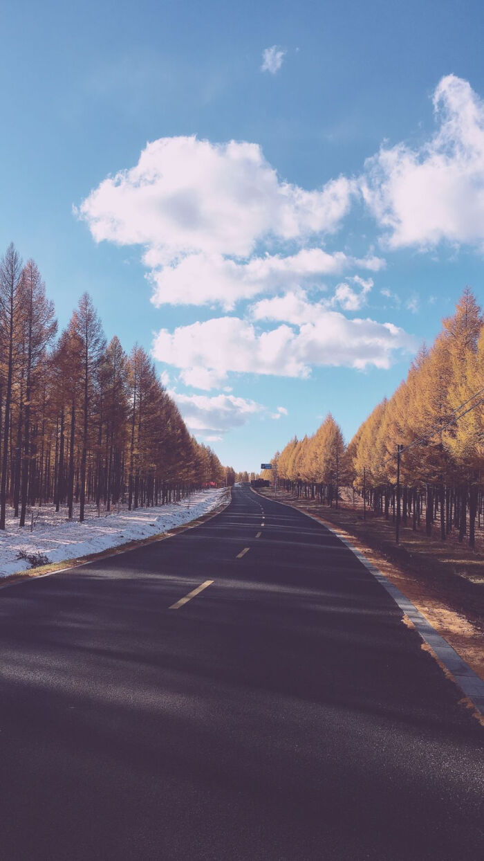 背景图-堆糖,美好生活研究所