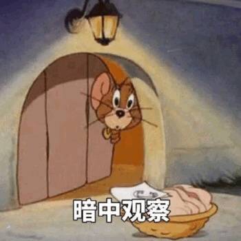 猫和老鼠 杰瑞 表情包