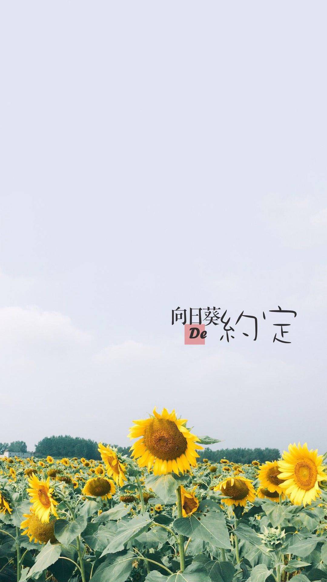 #wallpaper#壁纸#锁屏#背景#手机壁-堆糖,美好生活研究所