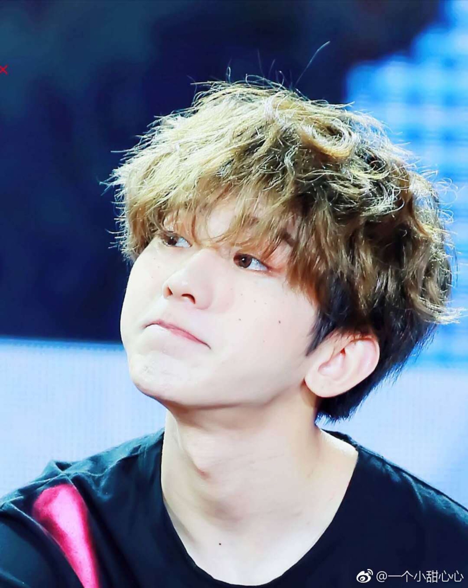 蔡徐坤 小葵