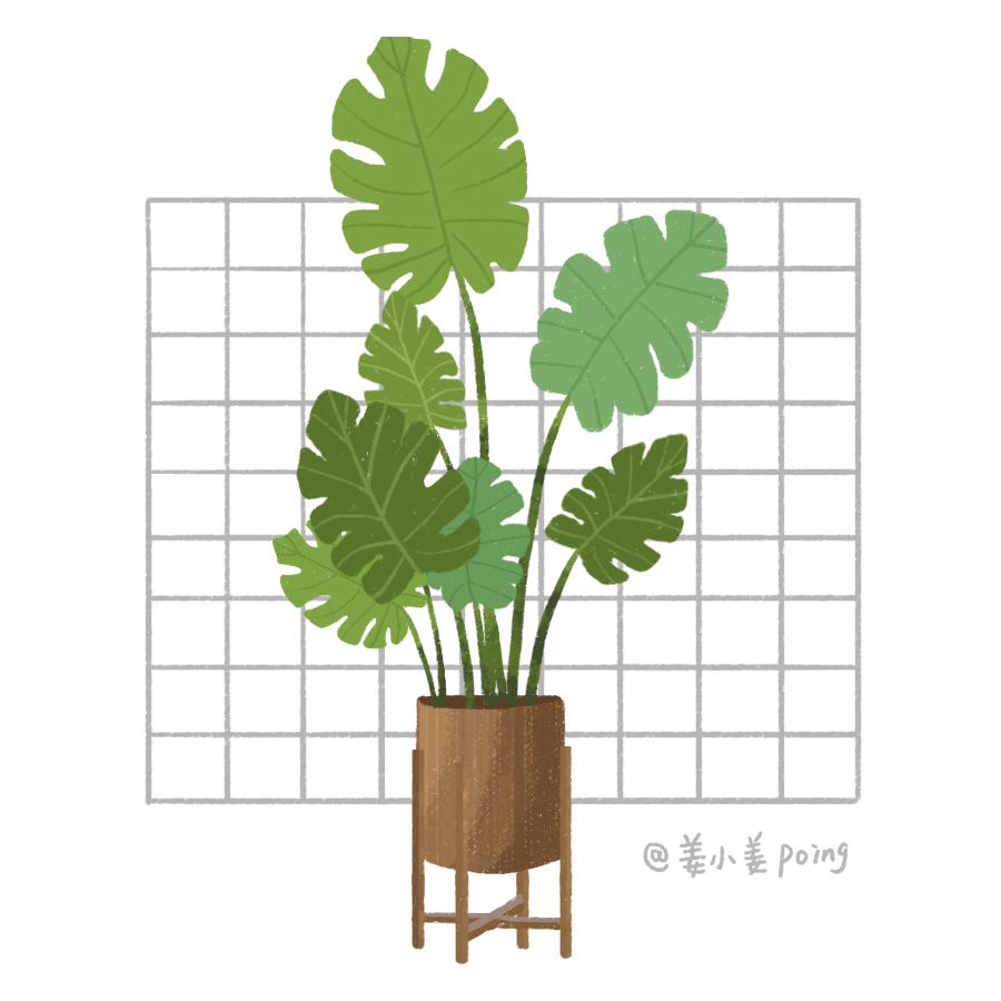 可爱简易植物小插图图片