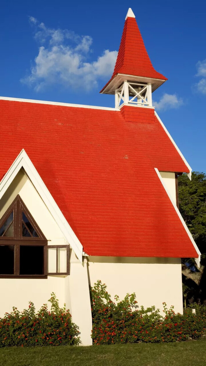 视觉中的红屋顶图片