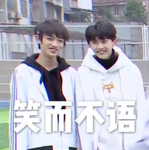 tf表情包