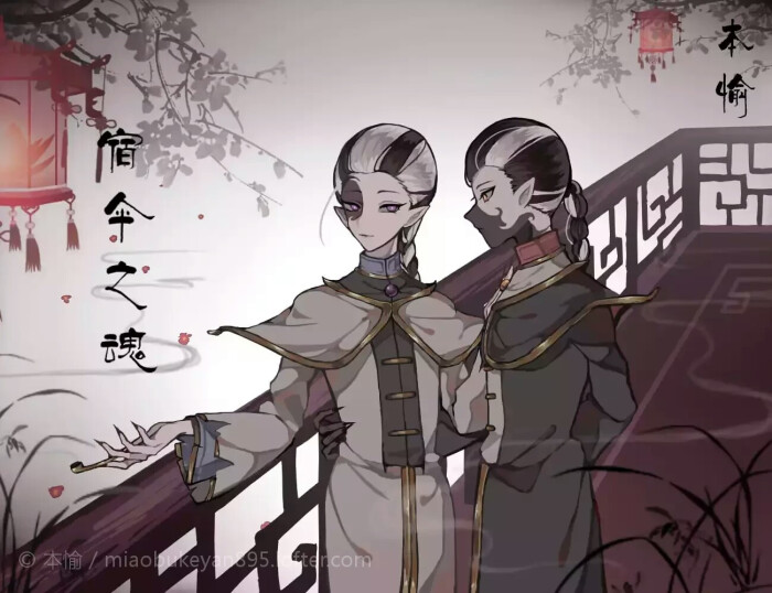 超喜欢小黑小白