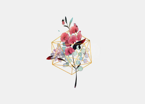 几何花束插画.作者:karla hernández