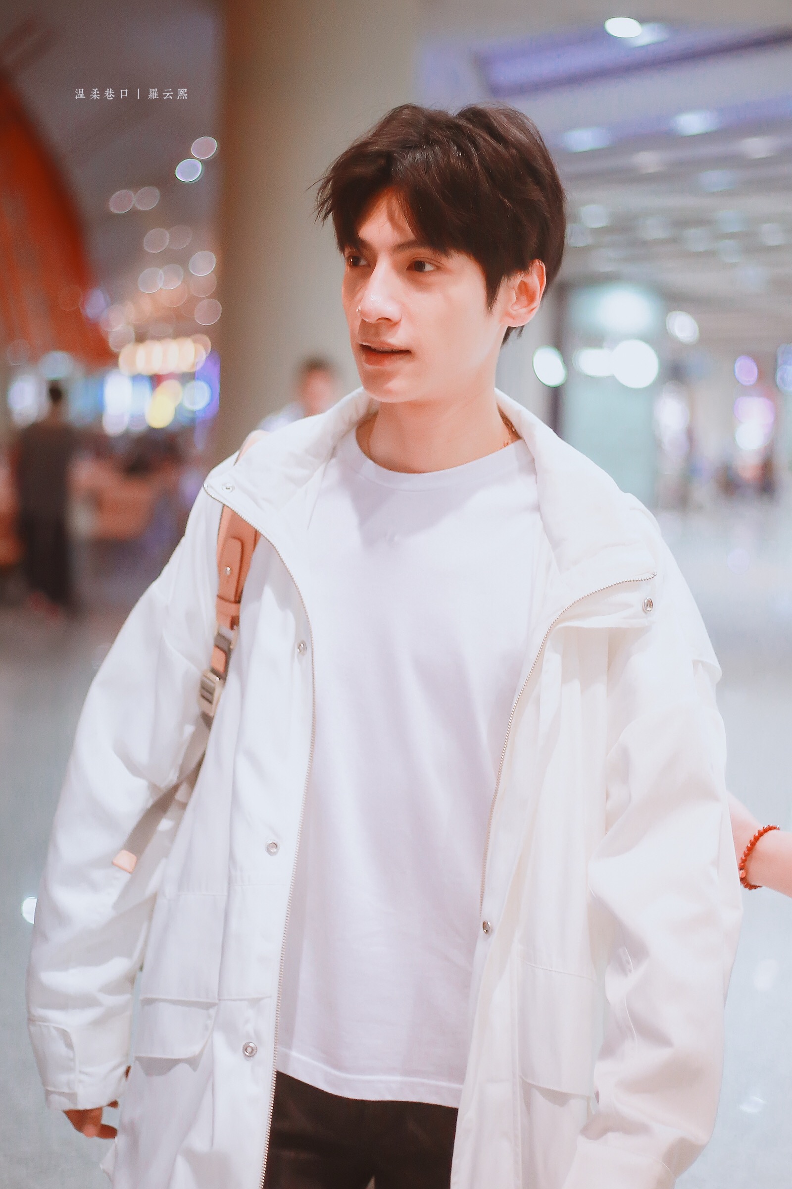 罗云熙-堆糖,美好生活研究所