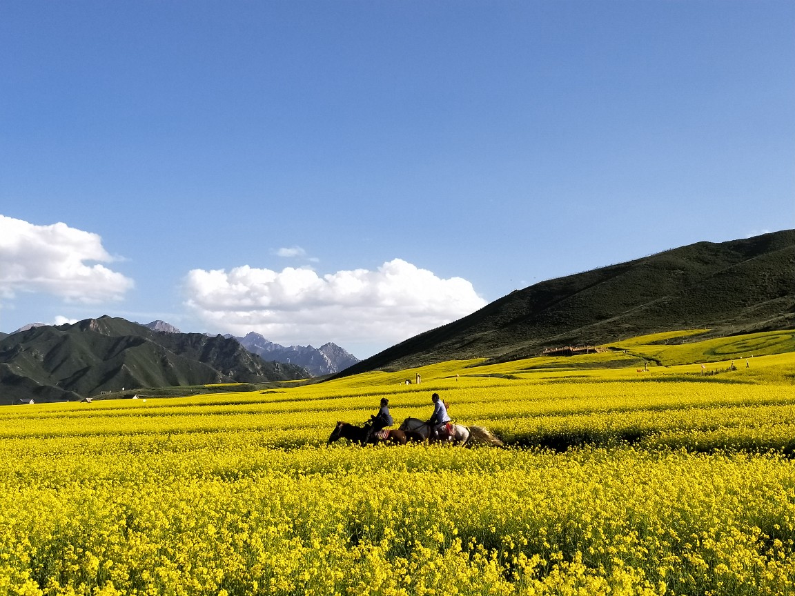 "走马观花"