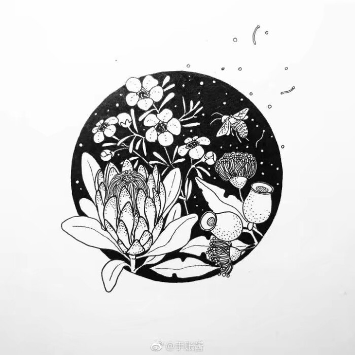 黑白画,线描