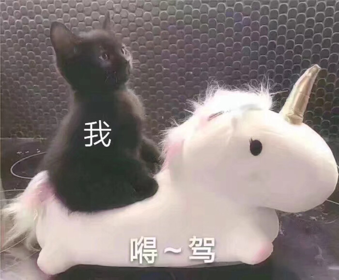 小可爱表情放心不会有代码bug表情包图片