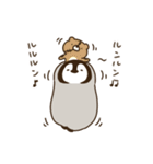 可爱小企鹅