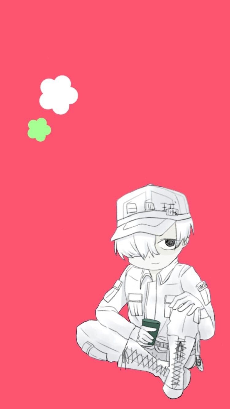 工作细胞-白细胞