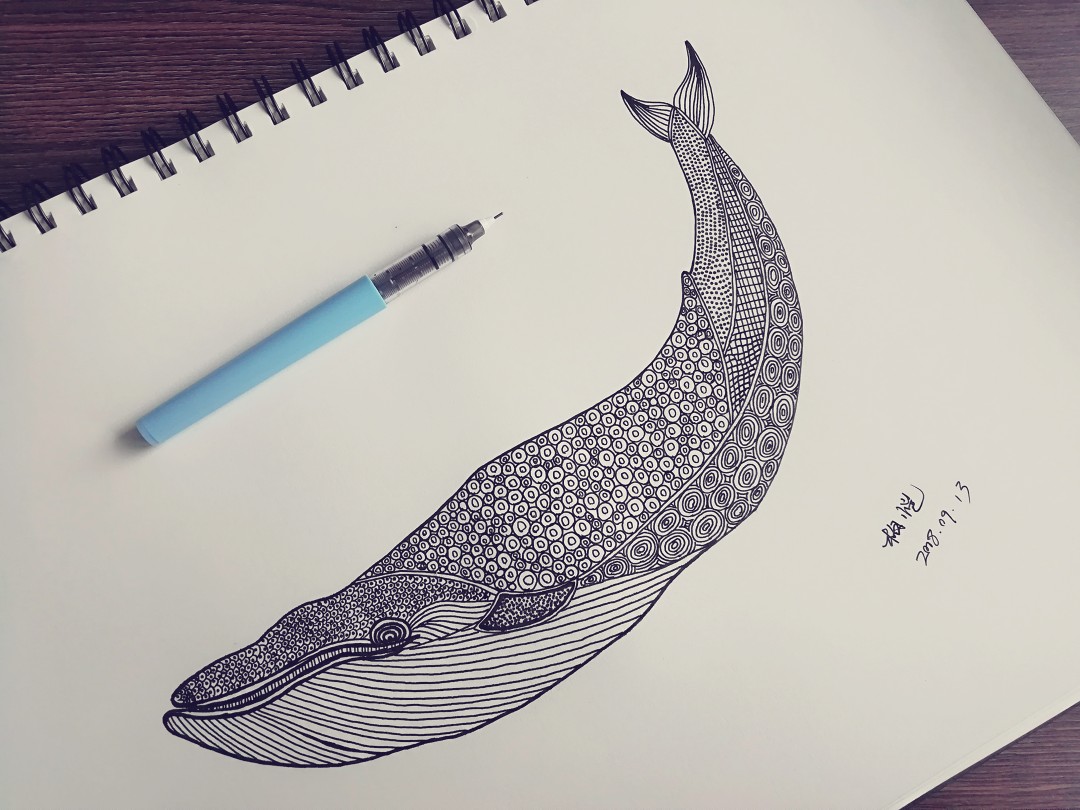 线描鲸鱼