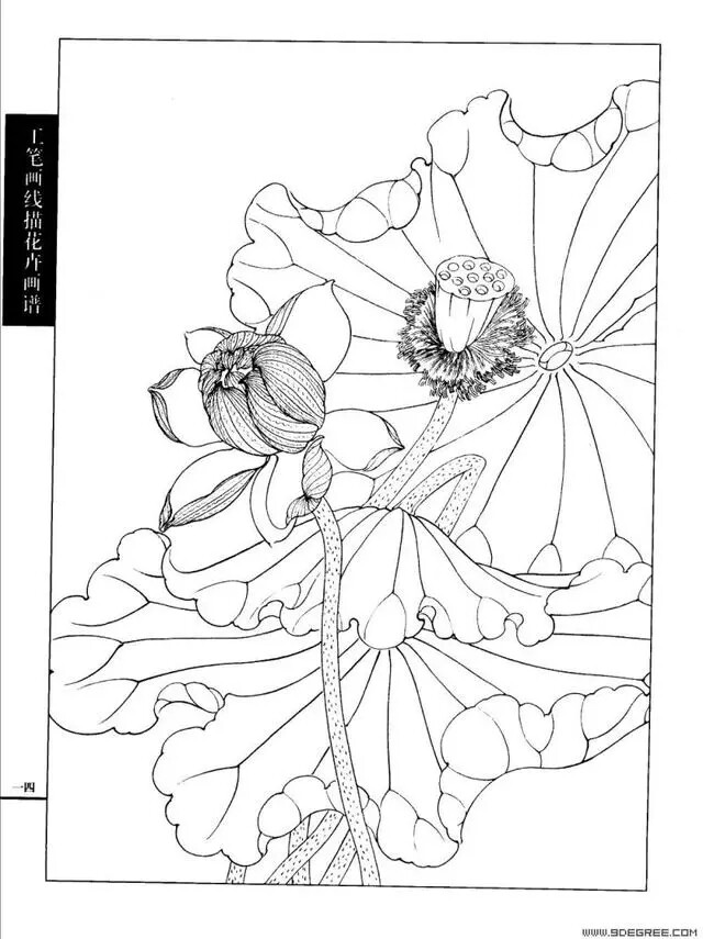 工笔白描人物