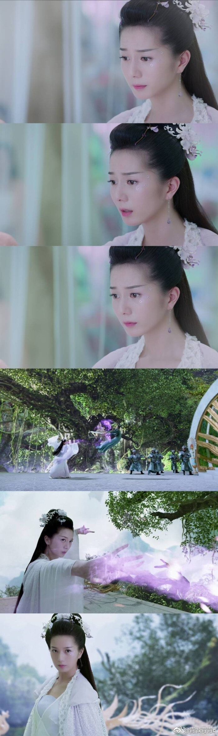 长芳主.彭杨