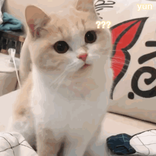 表情包
