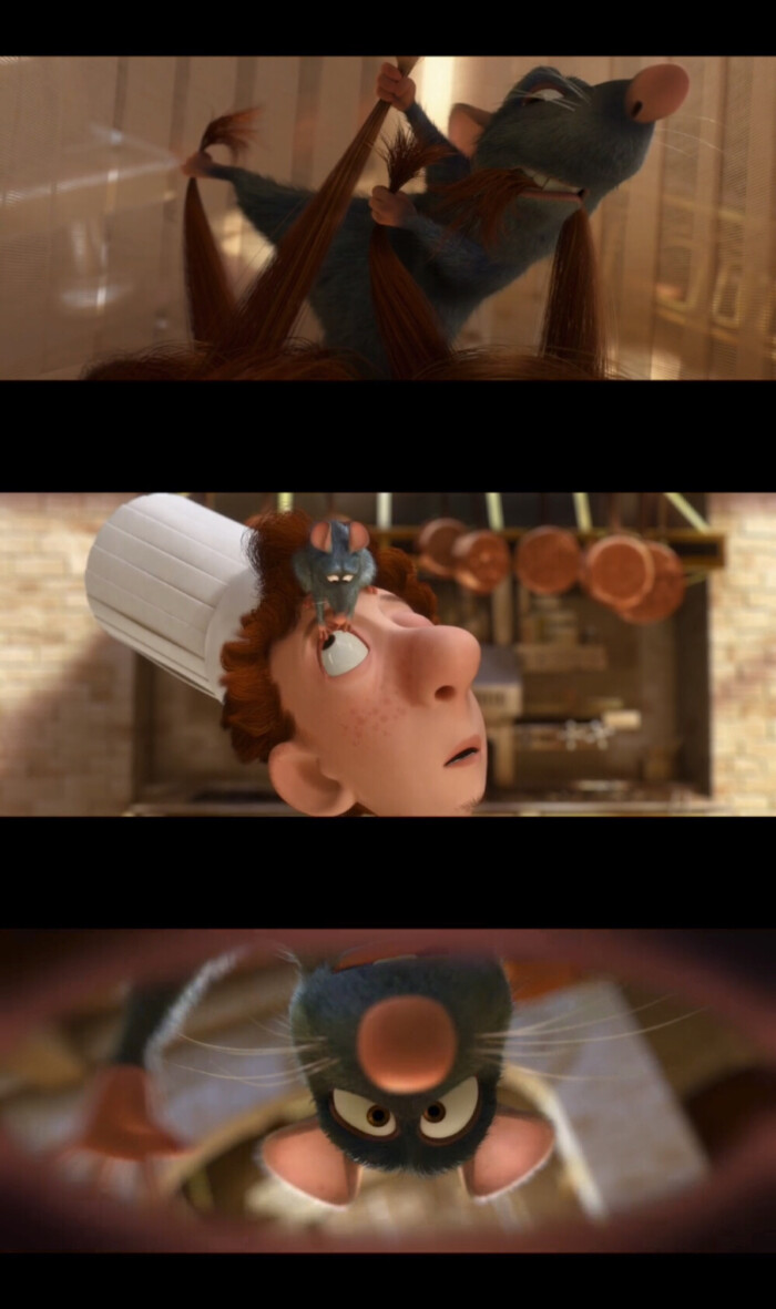 《ratatouille》(料理鼠王)美.2007.