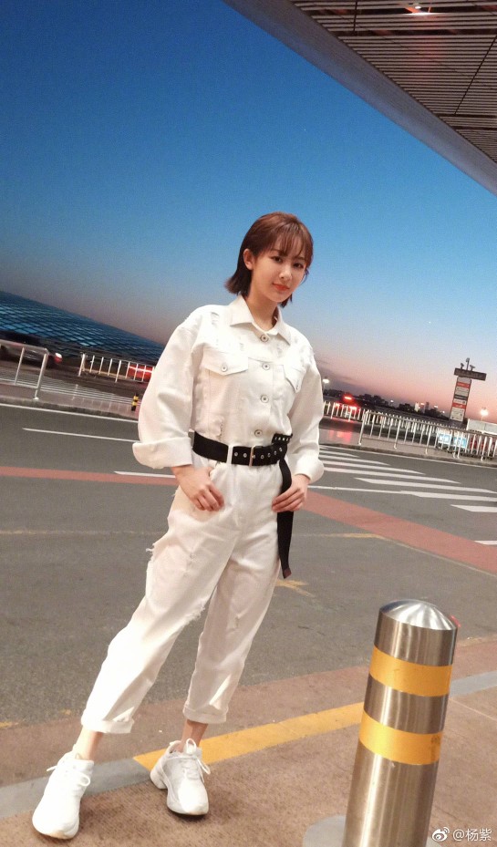 杨紫