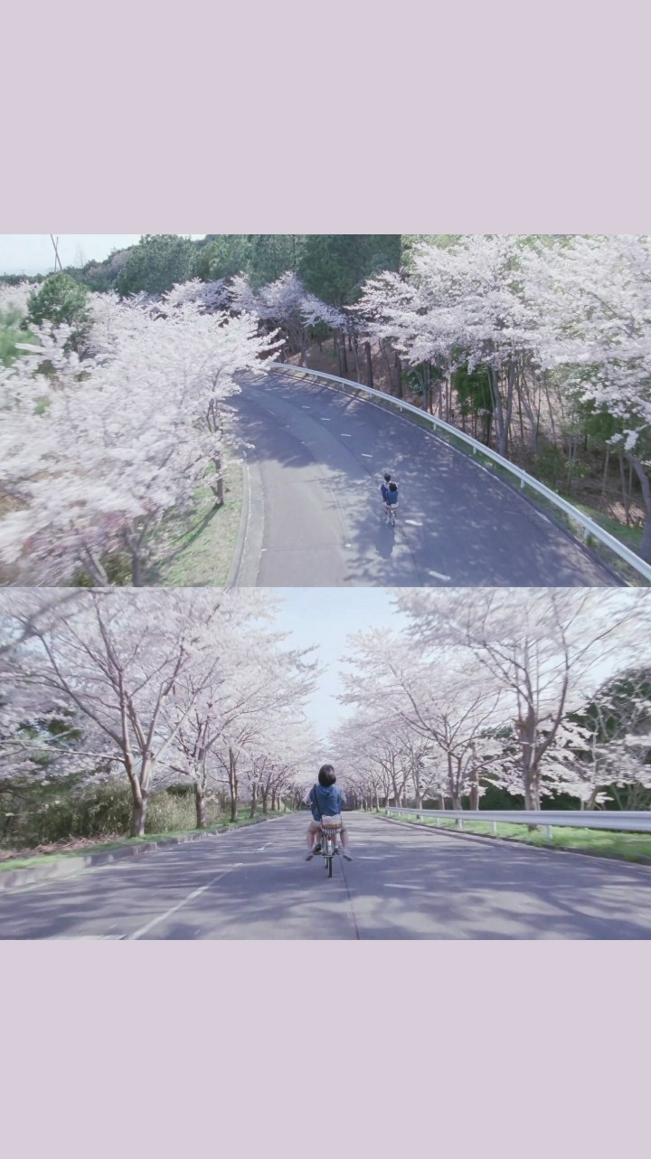 海街日记取景图片