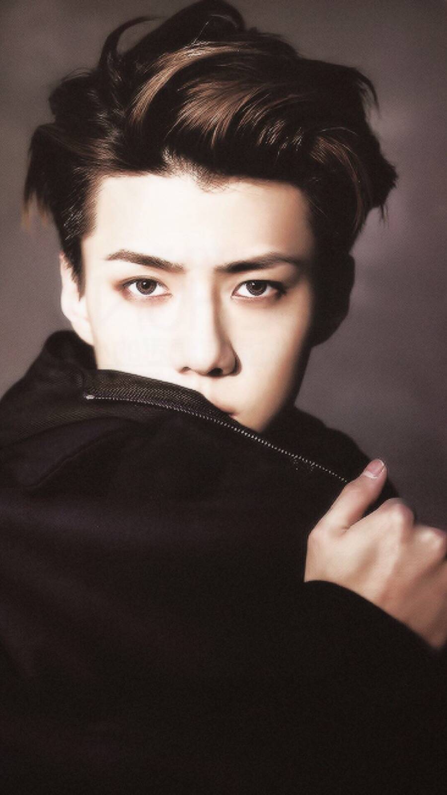 吴世勋 sehun|壁纸