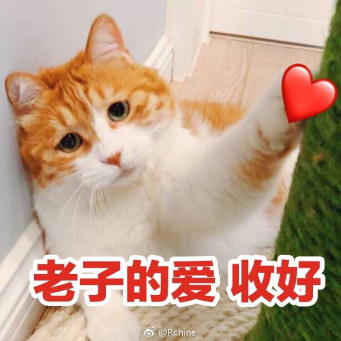爱心攻击