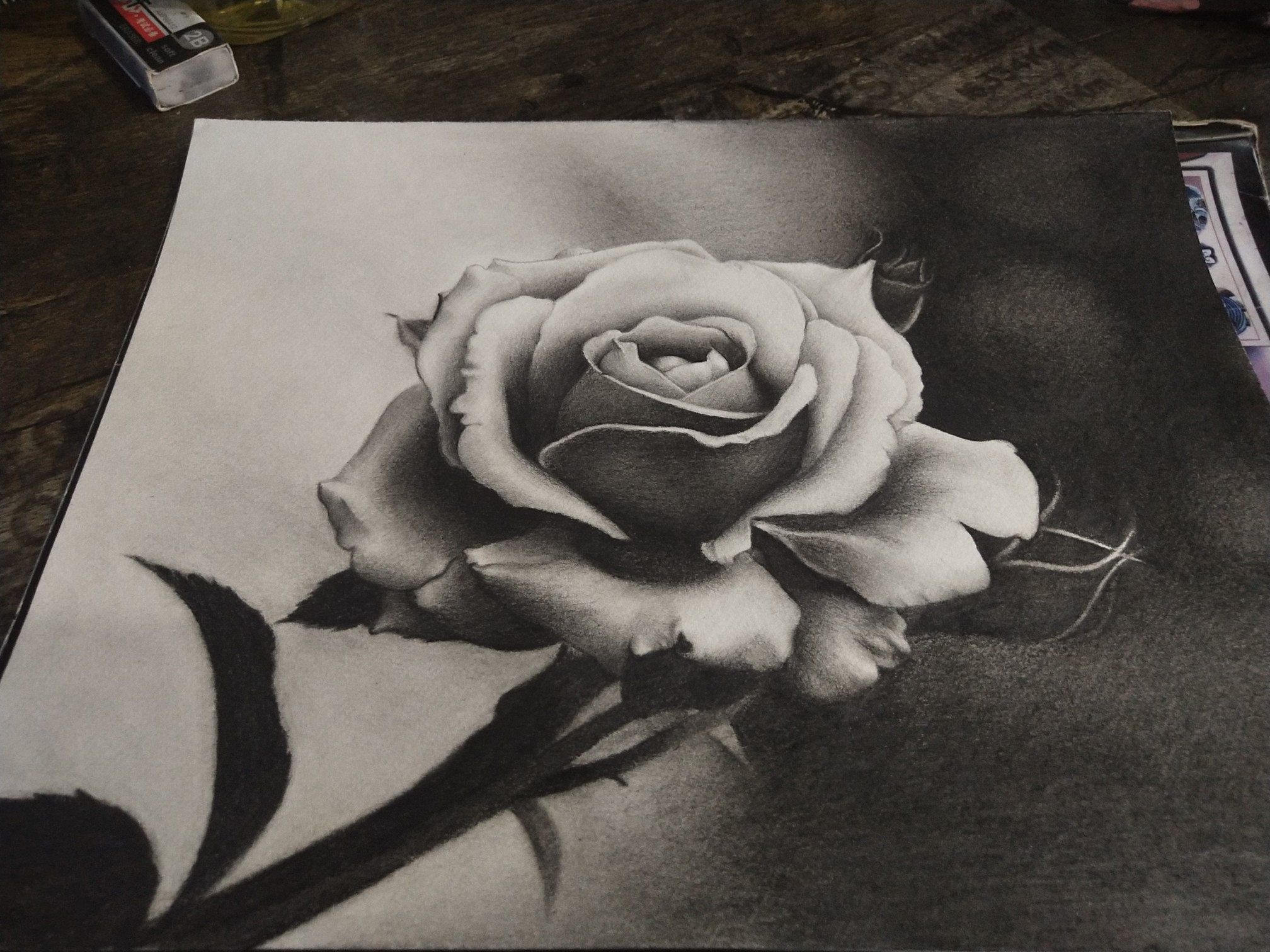 玫瑰花束素描图片