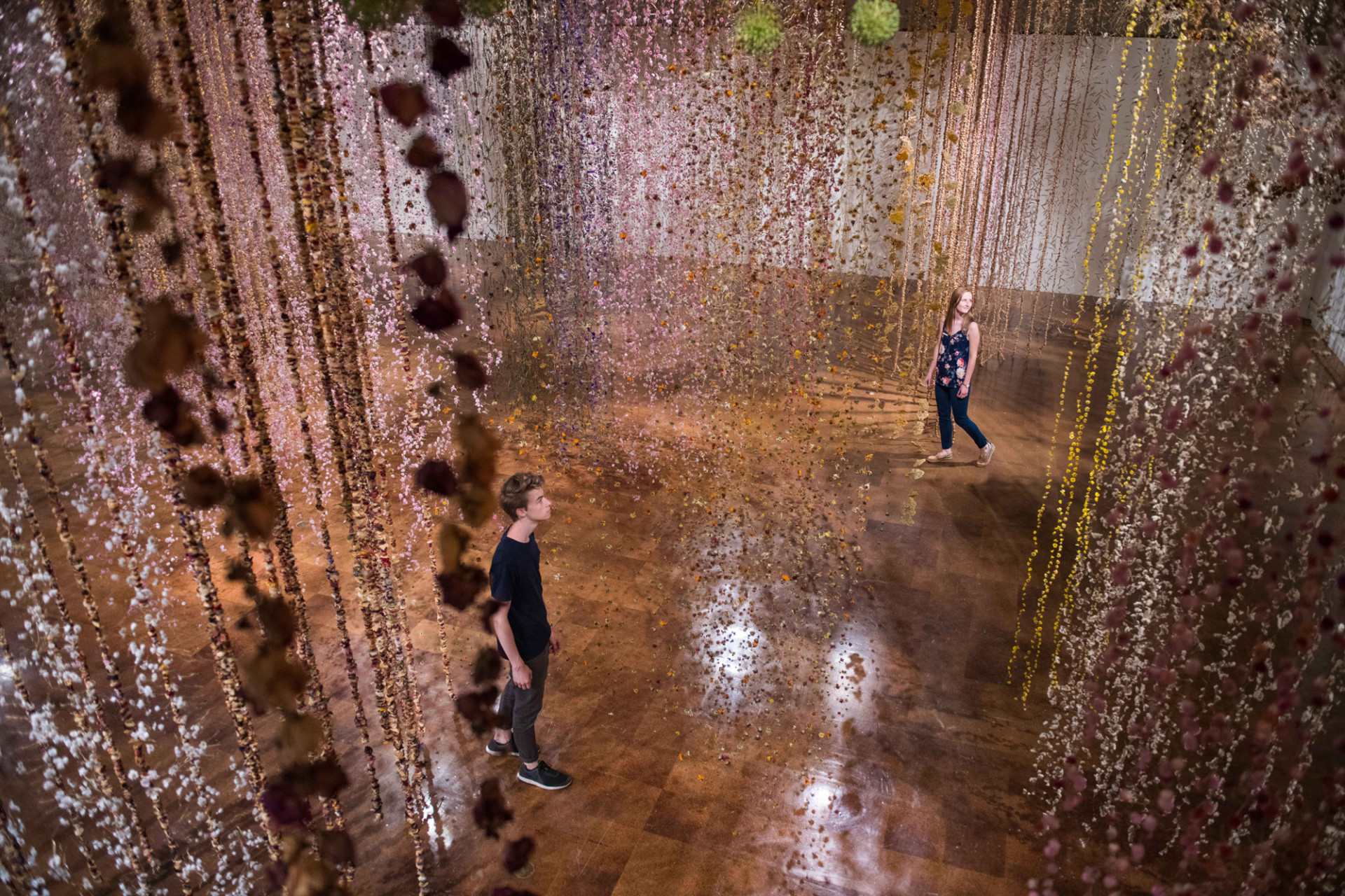 英国装置艺术家 rebecca louise law 用五颜六色的鲜花与干花装扮满了