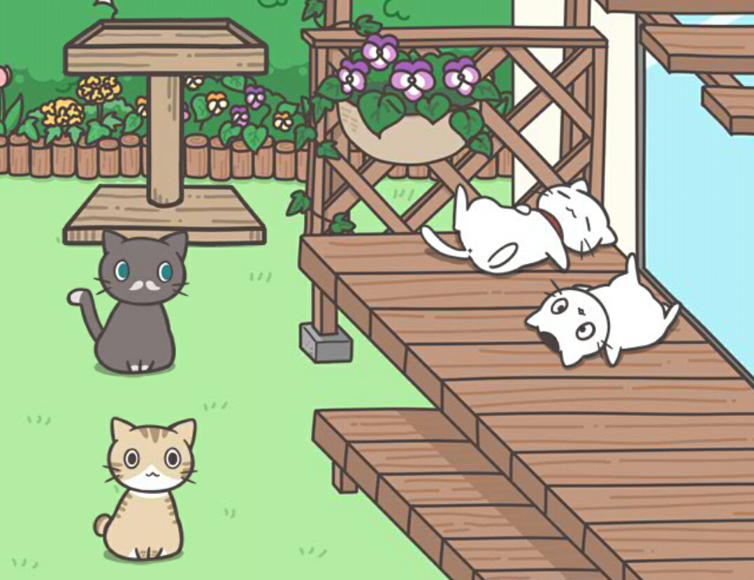 【饲猫日常】一起晒太阳嗷