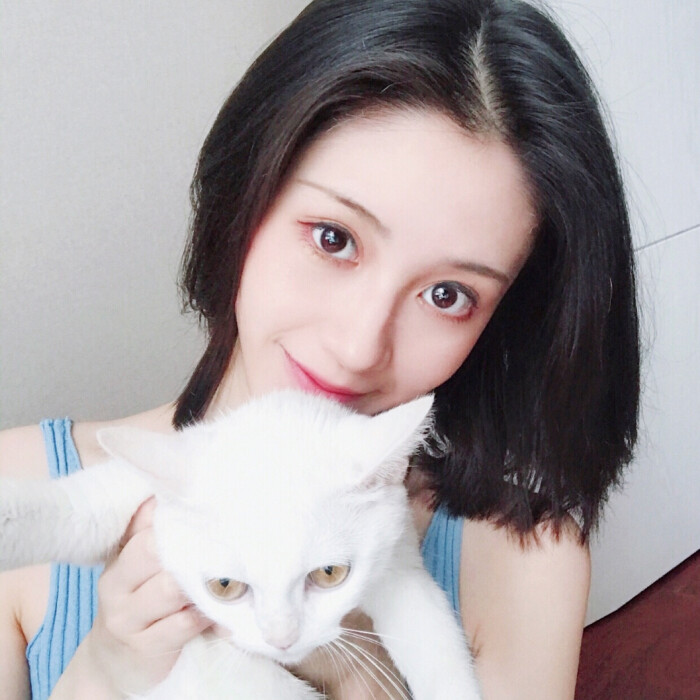 猫女 宠物头像