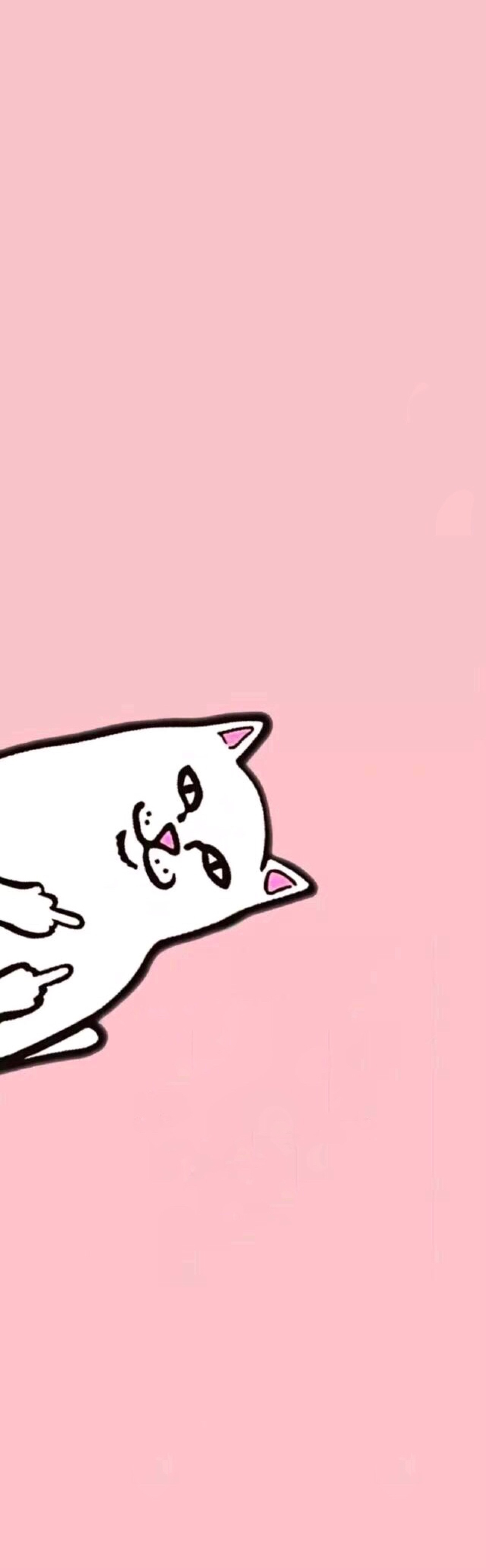 iphone x壁纸中指猫