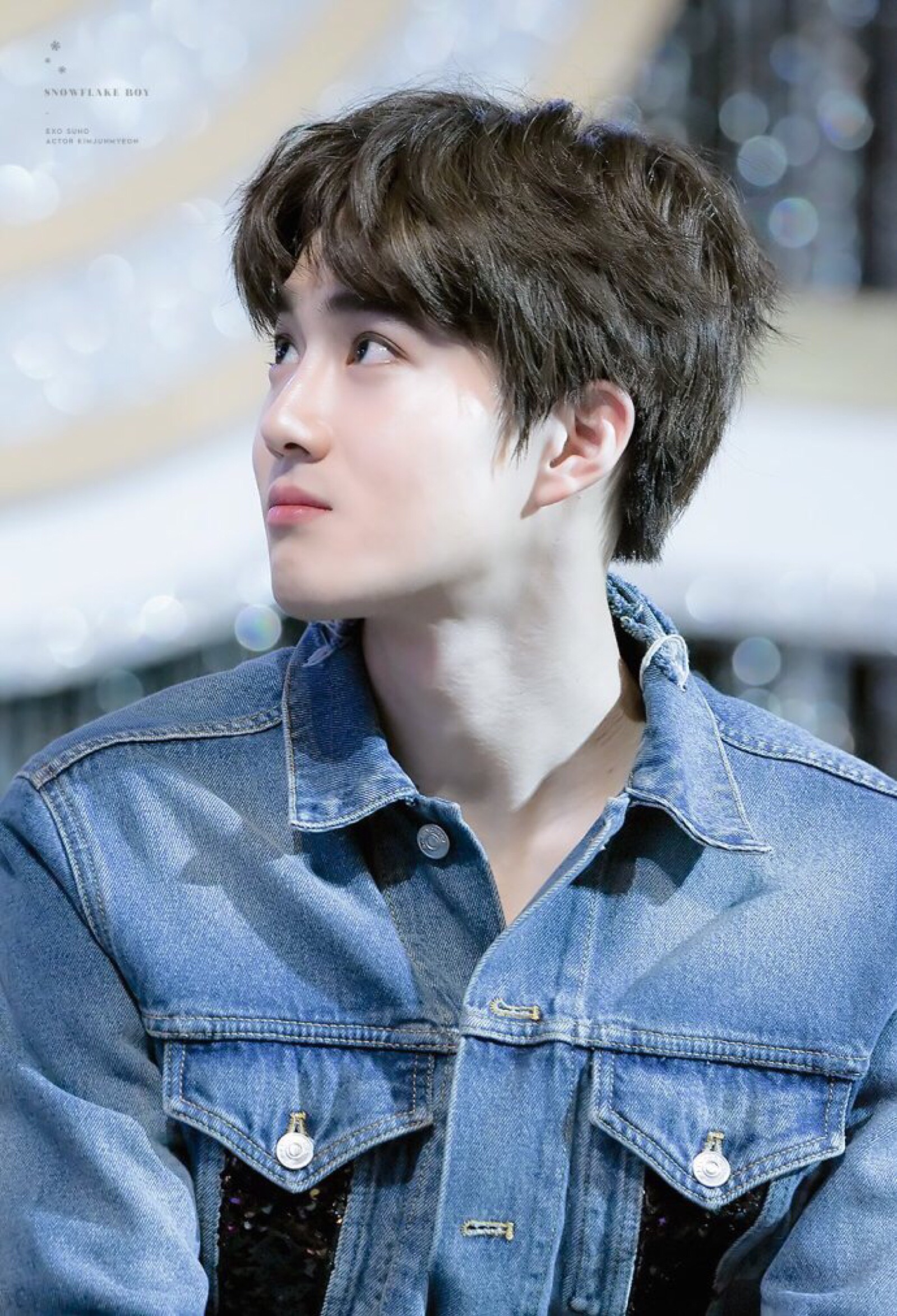exo 金俊勉 suho