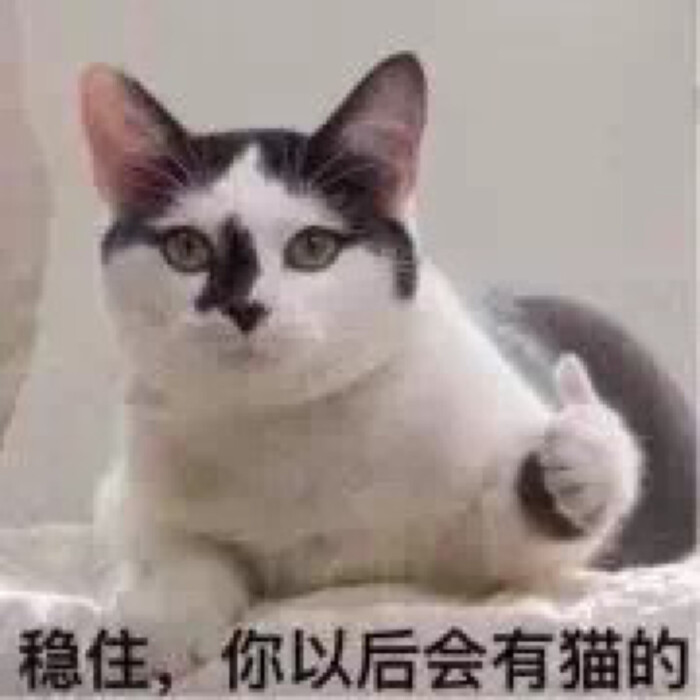 蜡笔小新熊本狗子小孩民国搞怪熊猫丧表情a小孩蛙多大鸽子可以吃猫咪蛋图片