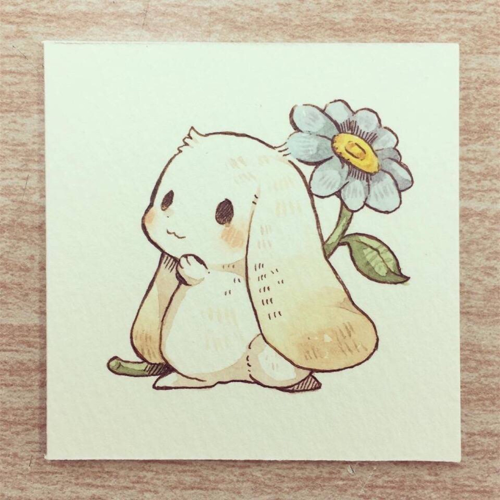 mokarooru