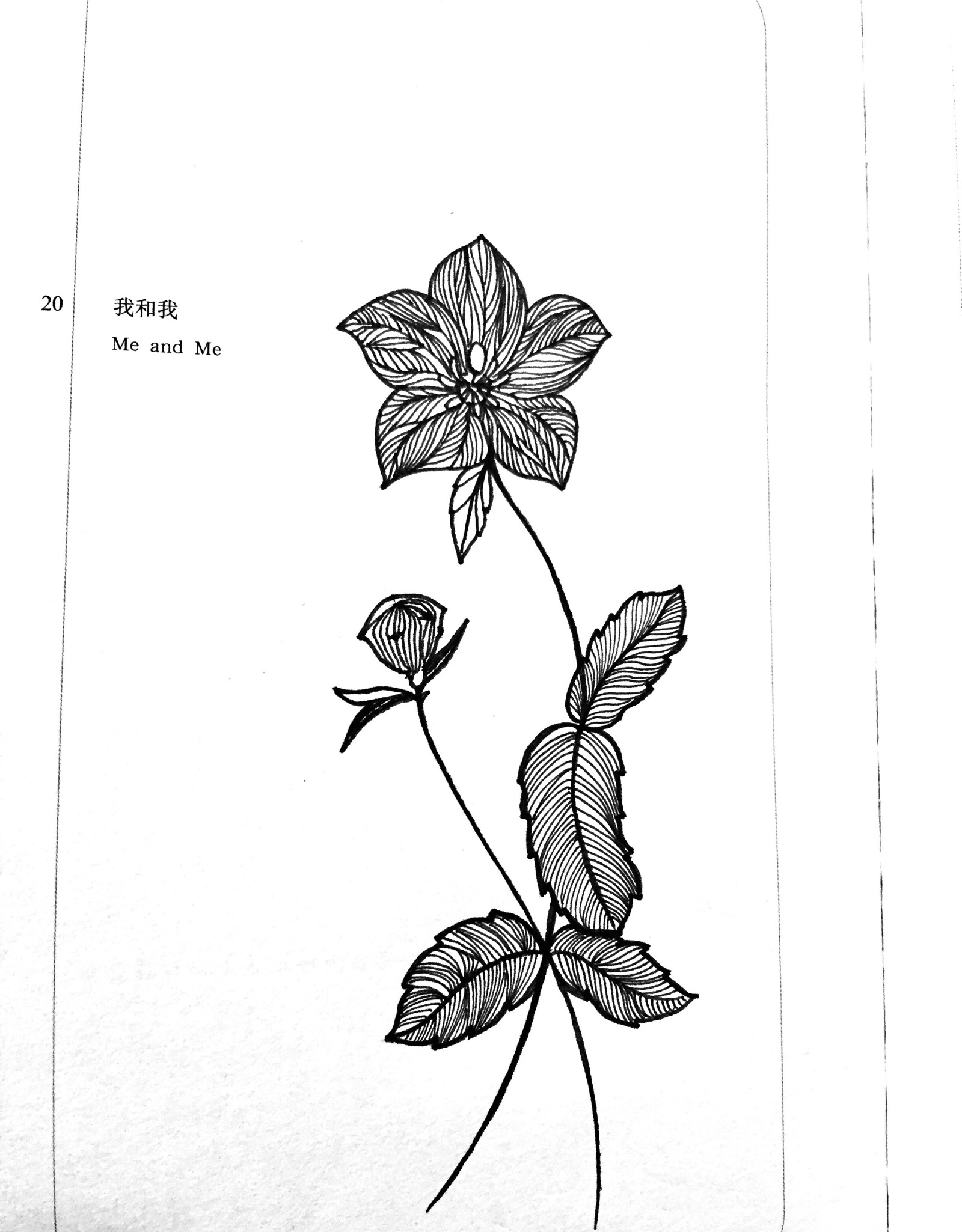 黑白花朵插画素材