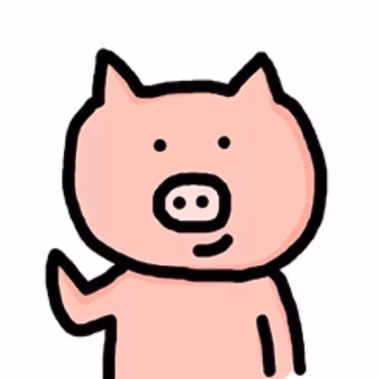 猪*
