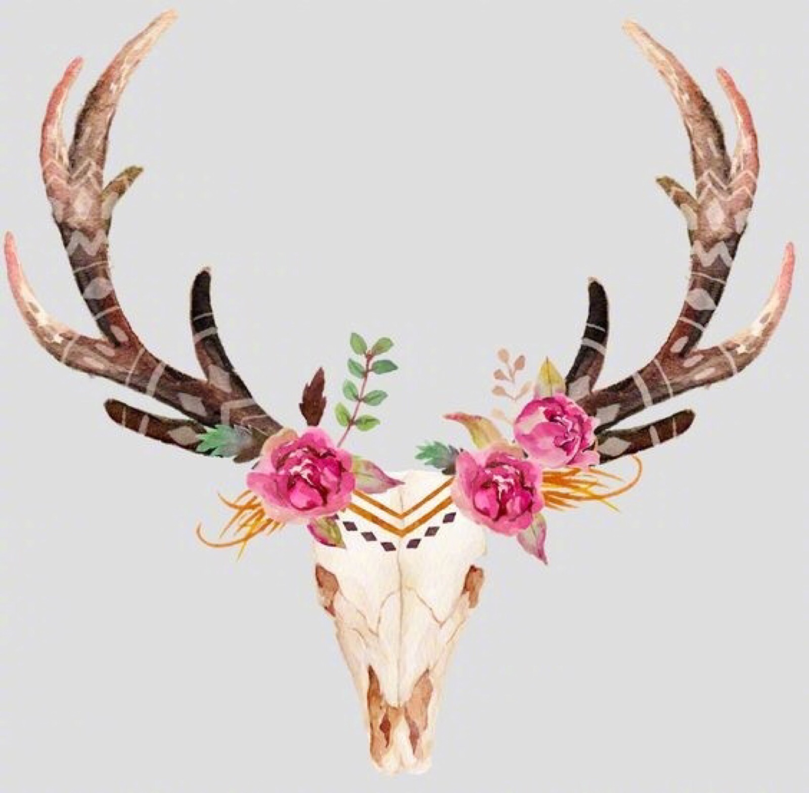 鹿角彩绘素材
