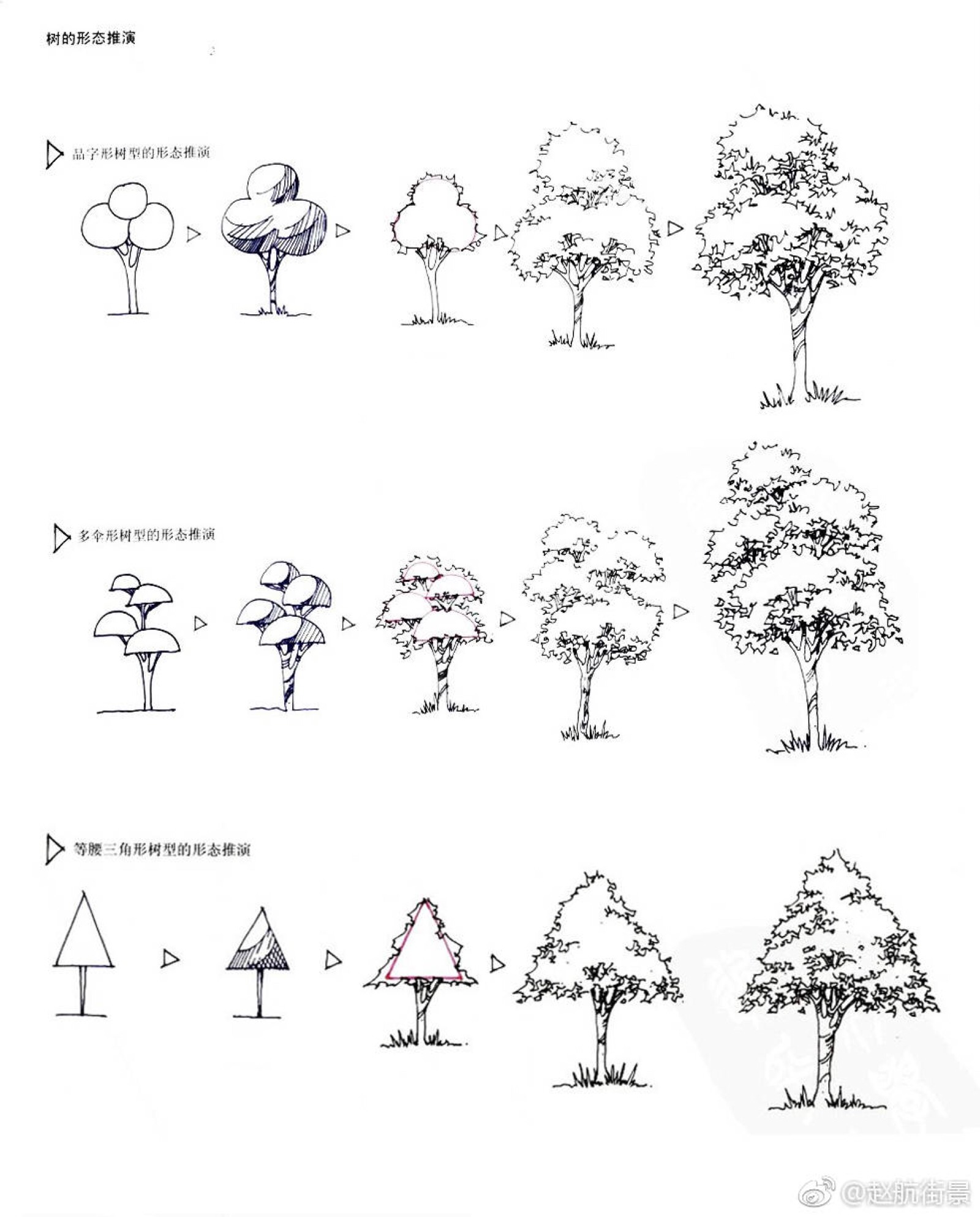 树的点线面画法图片