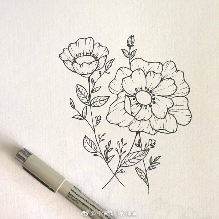 黑白线描画(ins:s.hukufuku)